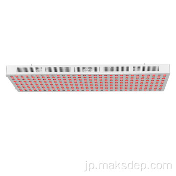 近赤外赤色光療法サウナマッサージ